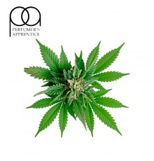 Mary Jane (TPA)