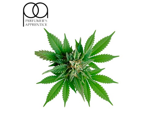 Mary Jane (TPA)