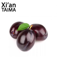 Plum (Xi'an Taima)