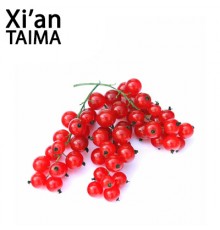 Red Currant (Xi'an Taima)