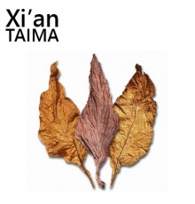 Royal (Xi'an Taima)
