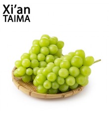 Shine Muscat (Xi'an Taima)