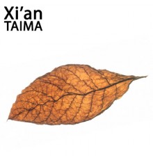 Turkish Tobacco (Xi'an Taima)