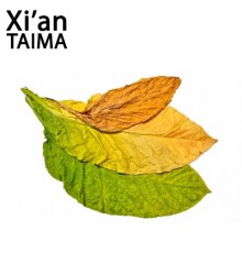 USA Mix (Xi'an Taima)