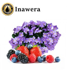 Purple Rain (Inawera)