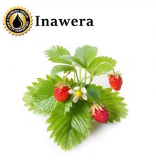 Poziomka (Inawera)