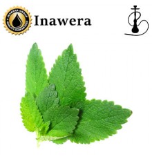 Shisha Peppermint (Inawera)