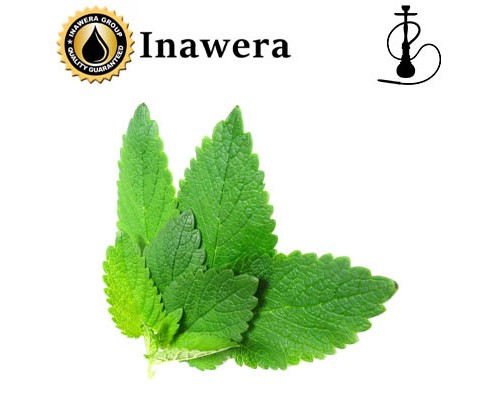 Shisha Peppermint (Inawera)