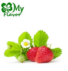 Fresh Strawberry (My Flavor)