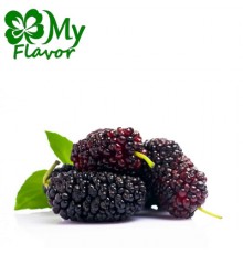 Mulberry (My Flavor)