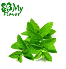 Spearmint (My Flavor)