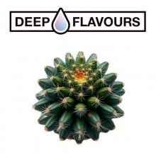 Cactus (Deep Flavours)