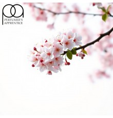 Cherry Blossom (PG) (TPA)