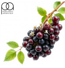 Elderberry (TPA)
