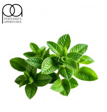 Fresh Mint CC (TPA)