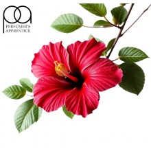 Hibiscus (TPA)