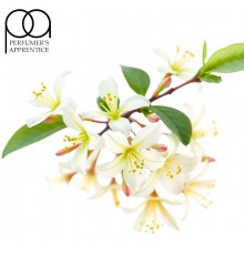 Honeysuckle (PG) (TPA)
