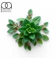 Mint CC (TPA)