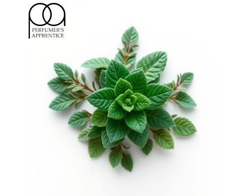 Mint CC (TPA)