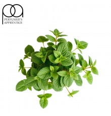 Peppermint (TPA)