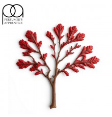 Red Oak (TPA)