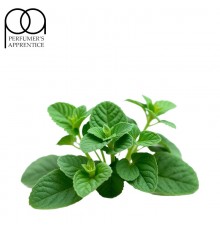 Spearmint Deluxe CC (TPA)