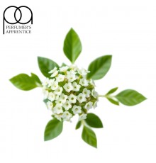 Sweet Woodruff (TPA)